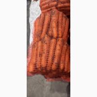 Продам моркву є обʼєми доставка по Україні / самовивіз