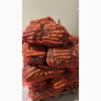 Продам моркву є обʼєми доставка по Україні / самовивіз