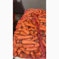 Продам моркву є обʼєми доставка по Україні / самовивіз