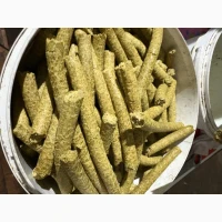 Макуха гарбузова