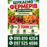 Куплю полуницю на постійній основі