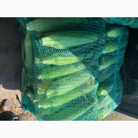 Продам Солодку Кукурузу Ракель