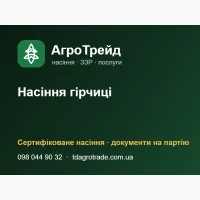 Насіння гірчиці від 55 000 грн/т - еліта, РН-1, документи