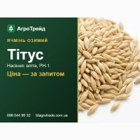 Насіння ячменю Тітус (Saaten-Union) - озимий, еліта, РН-1