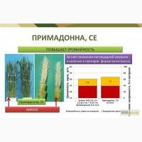 Примадонна - новый гербицид для защиты зерновых культур ( Щелково Агрохим) Цена 10 $/л