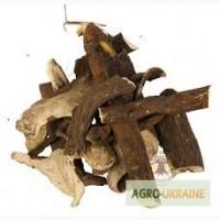 Корень пиона