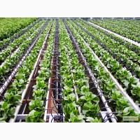 Капельная лента и оросительные системы