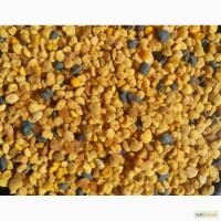 Пыльца 2018 опт и розница