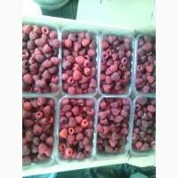 Продам садженці малини