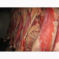 Продам в ассортименте говяжьи субпродукты и блочное мясо