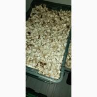 Продам заморожений білий гриб