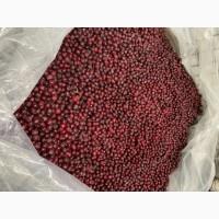 Продам вишню заморожену з косточкою