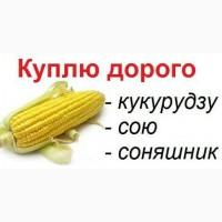 Дорого куплю подсолнечник