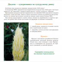 Продам! Надцукрові гібриди кукурудзи із різними сроками дозрівання
