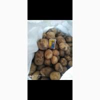 Продам картошку