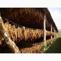 Продам Махорку Самосад без пыли и мусора