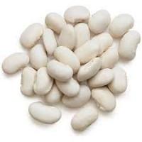 Закуповуємо білу товарну квасолю