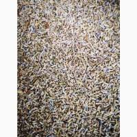 Сухі трушені квіти гібриду лаванди (лавандин) у роздріб та оптом