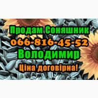 Продам Соняшник, за Договірною ціною