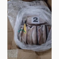 Wholesale seafood supplier Mauritania fishing coast Nouadhibou fishing harbor Nouakchot