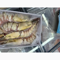 Wholesale seafood supplier Mauritania fishing coast Nouadhibou fishing harbor Nouakchot