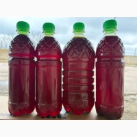 Олія гарбузова