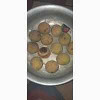 Продам сажанці великоплідного, чорного, американського горіха