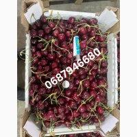 Продам черешню в качестве с сада