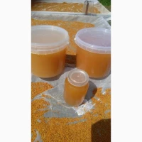 Мед рапс + сади + акація