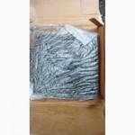 Цепь 809-162C CHAIN RL #41 X5M, 136-152D CHAIN RL #40х5м сеялка пропашная pd8070, planter