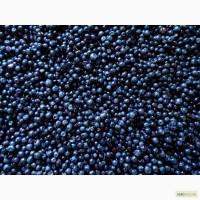 Закупаем Чернику любыми партиями, м. Київ