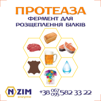 Протеаза щелочная бактериальная и грибная