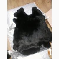 Продам крашеные шкуры кролика