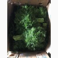 Продам петрушку