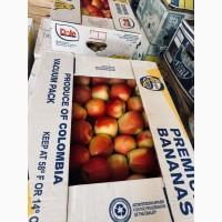 Продам яблоки Гала маст, голден, фуджи, лігольд, принц, джеремін, чемпіон