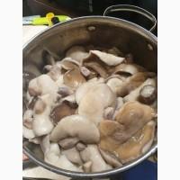Продам грибы маслята соленые, отварные