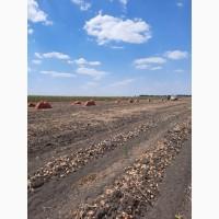 Продам лук на зеленое перо Штутгарт 4-5 калибр
