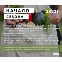 Ваш испанский производитель - поставщик свежих ово