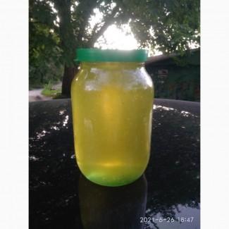 Продам мёд качка 2021года