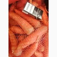 ПРОДАМ Моркву (Борщовий набір від виробника)