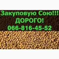 На постійній основі купуємо СОЮ!Великі контракти