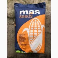Насіння кукурудзи Mas seeds 30M. ФАО 310