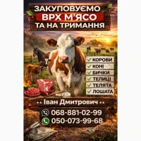 Купити ВРХ : Корови. Коні. Бички.Телиці. На М#039;ясо ТА На Тримання