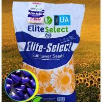 Насіння соняшника ЕС Альфа, 112-177 днів, фр. Преміум