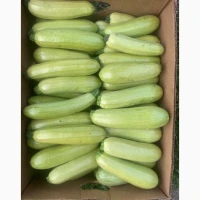 Продам кабачок з поля 40ящикиків