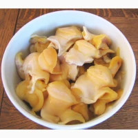 Черноморская мидия живая, свежая, прямо с моря. Крупный размер