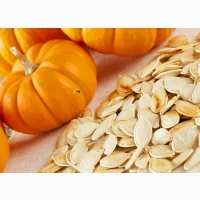 0пт0м 3вкуп08ую гвр6у308е нвсіння