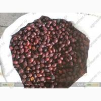 Лекарственные растения