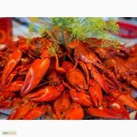 Продам живых раков