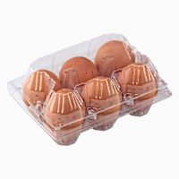Лотки для куриных яиц (ПЭТ) на 6, 10, 12, 15, 18, 20, 30 ячеек от производителя